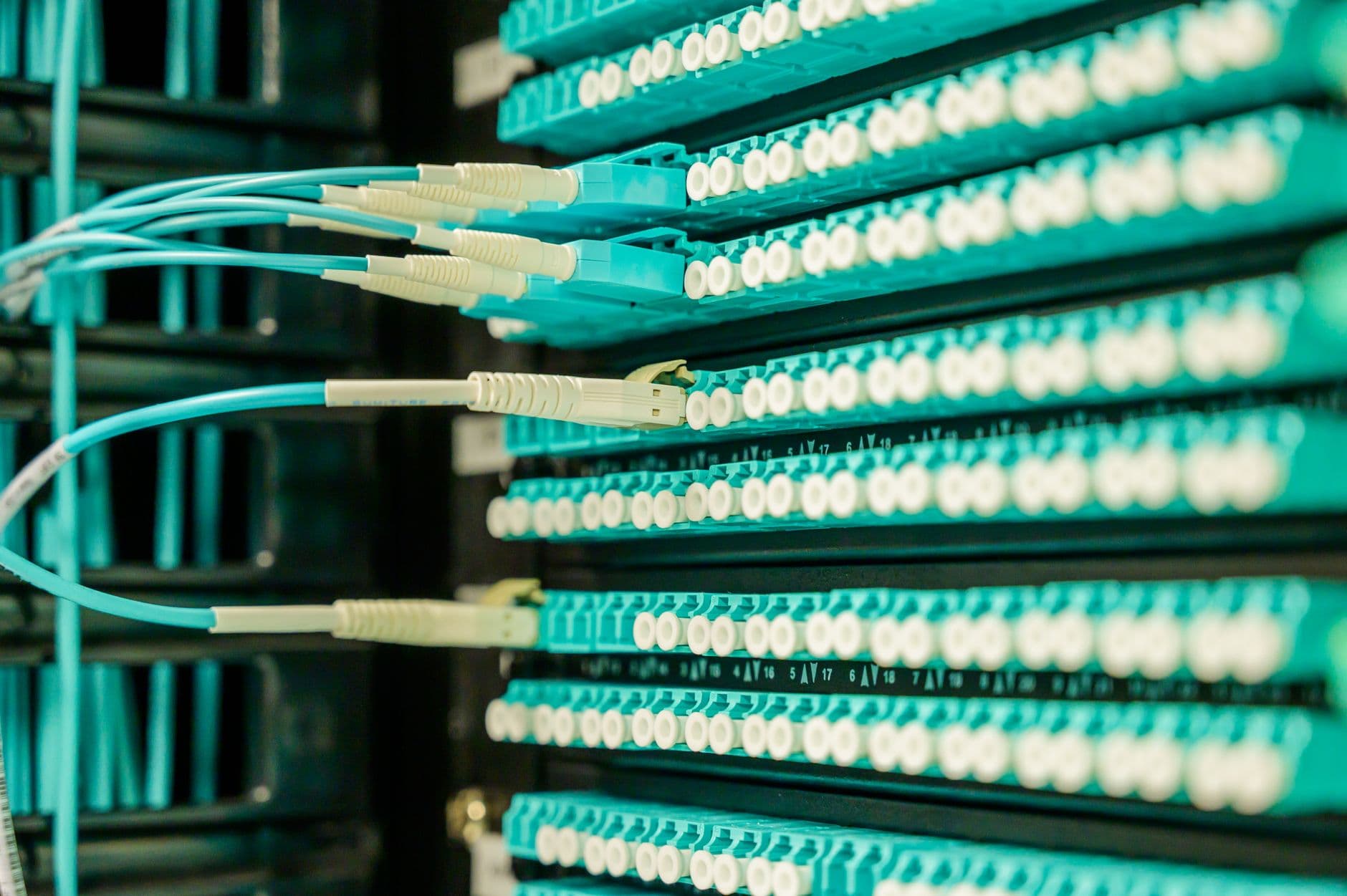 Fiber optic patch cords plugged into a patch panel in a network rack