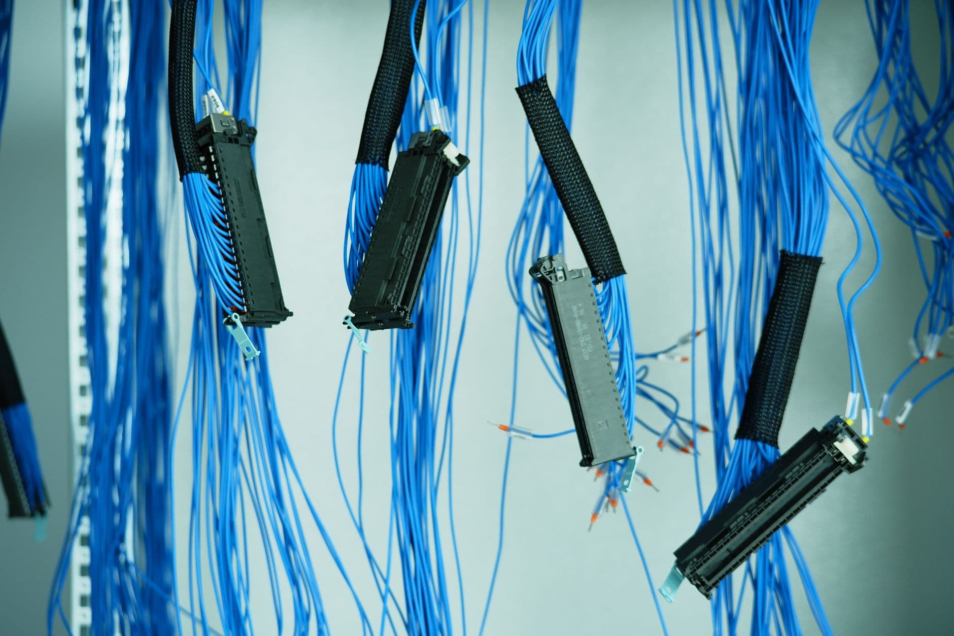Blue network cables with multi-pair connectors hanging during a cabling installation