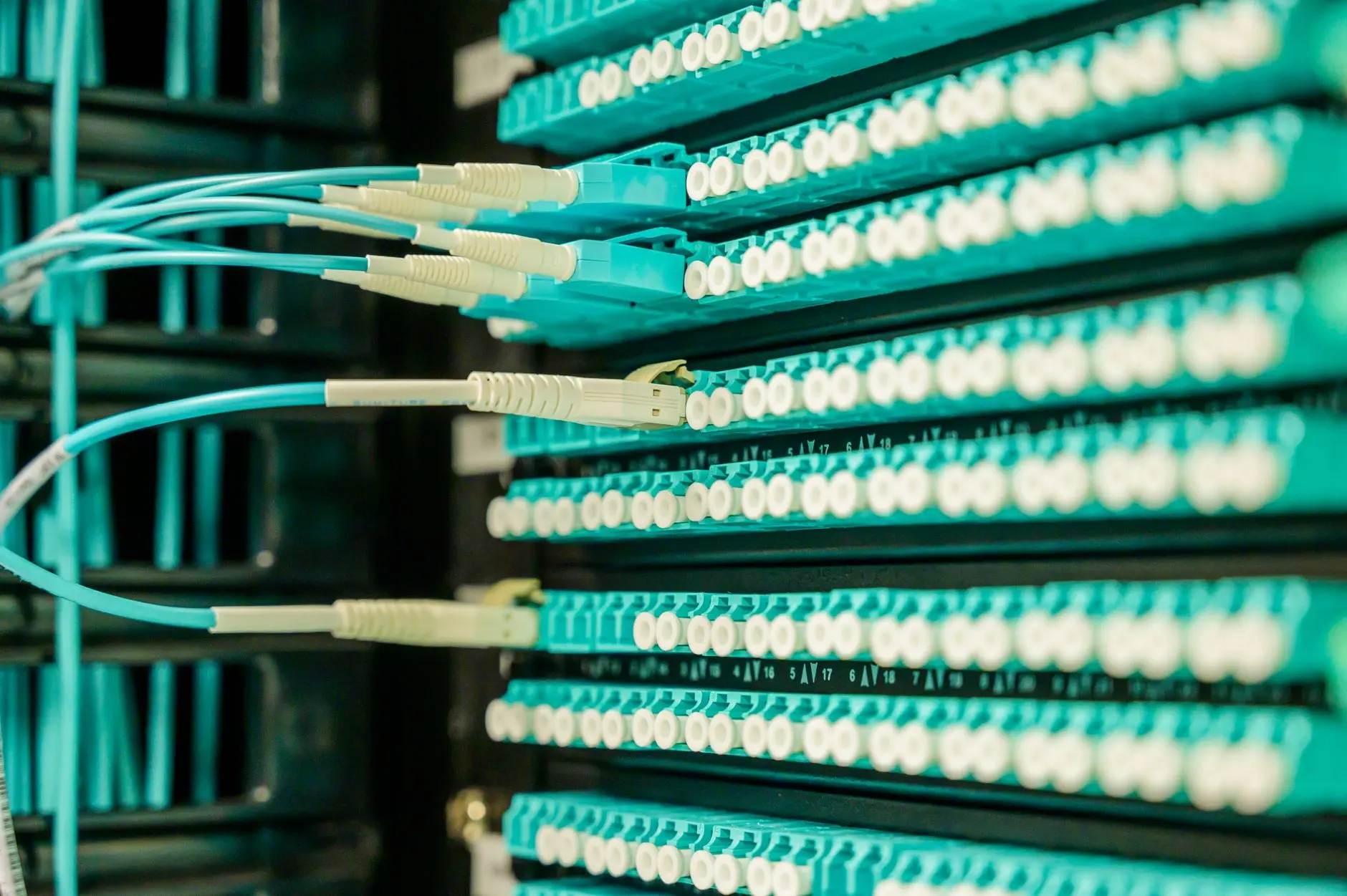 Cordões de fibra óptica conectados a um patch panel em rack de rede