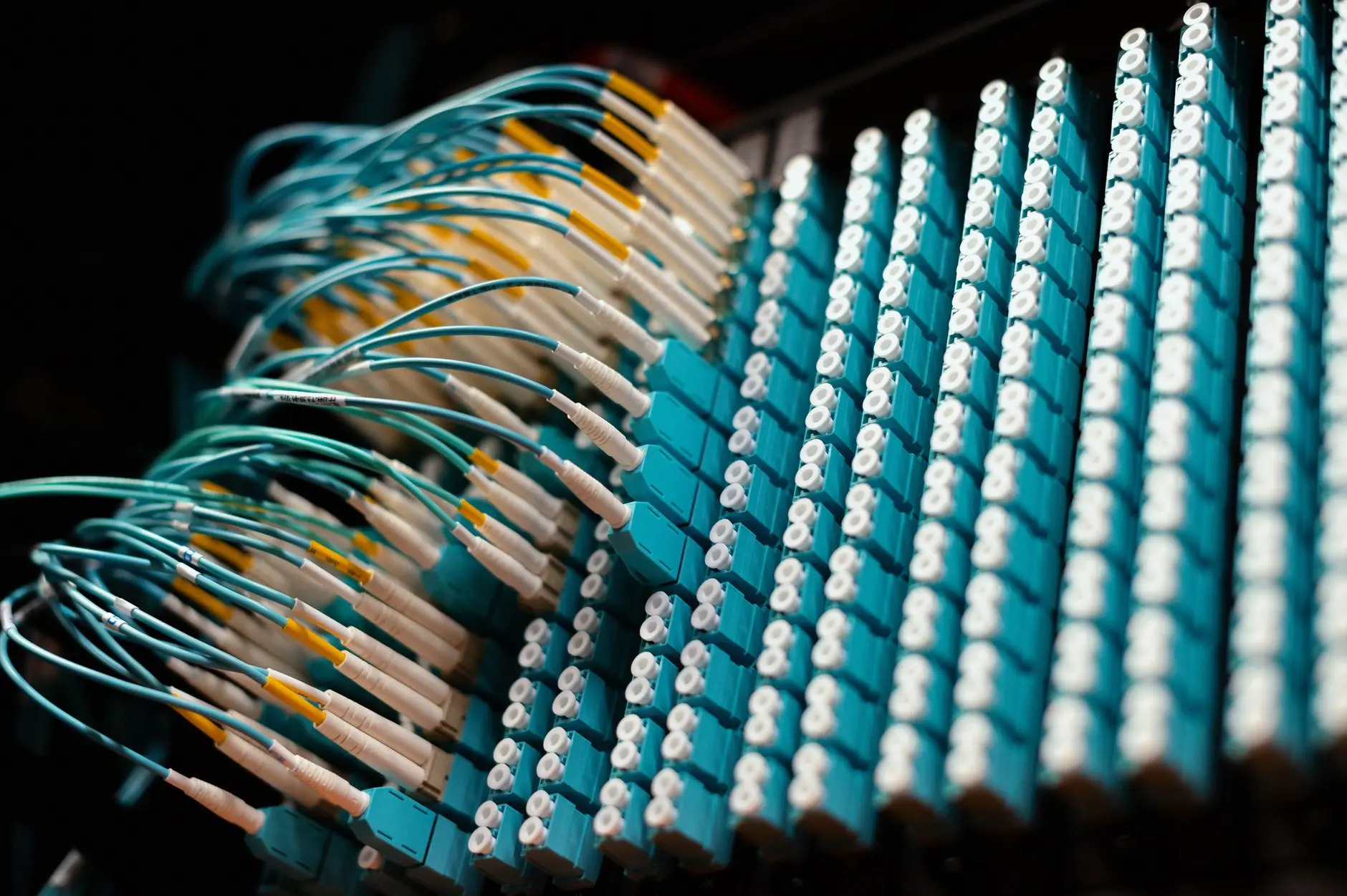 Cordões de fibra óptica organizados em um patch panel de rede